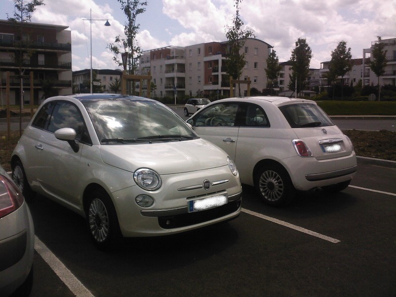 funk white/ bossa nova white pas bc de diff�rences sans soleil