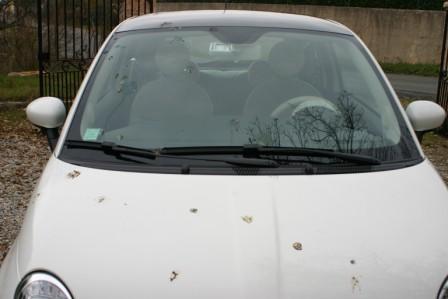 crade 2