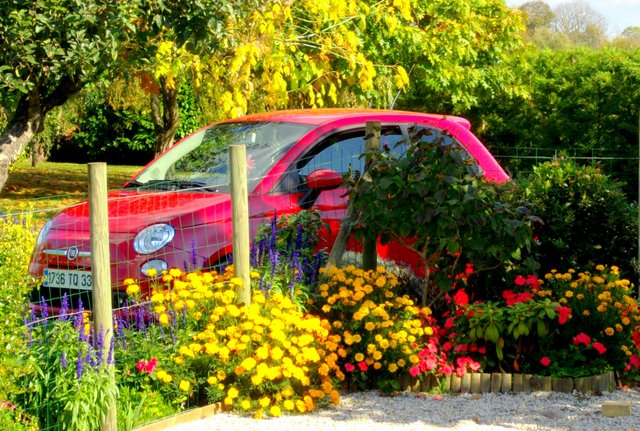 2eme du concours photo d'octobre (Marie33)