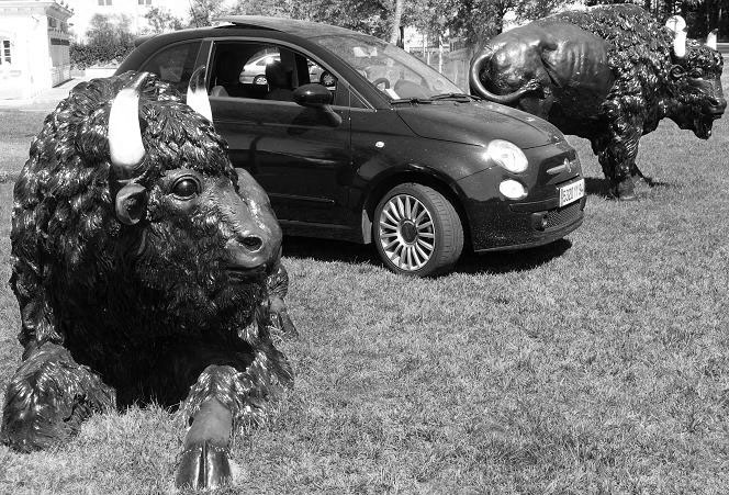 3eme concours photo de l'�t� 20cen