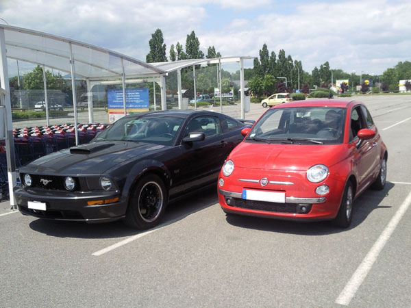 La belle et la b�te n�2 ...